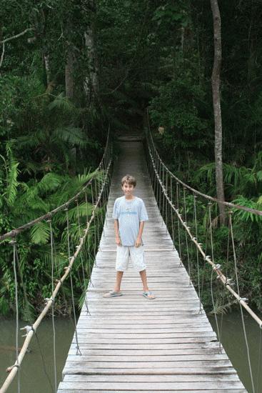 Peter leds us on a short hike into the dense Khao Yai jungle.