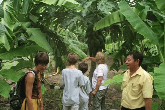 We visit Heng's family dairy and eductional farm near Lopburi.