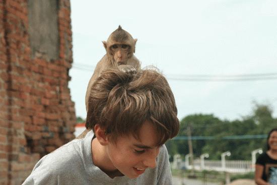 Peter gets mauled by the monkey