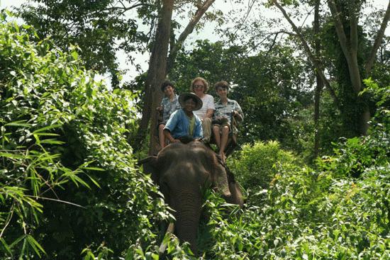 Peter, Paul and Carrol on an elephant ride outside of Lampang