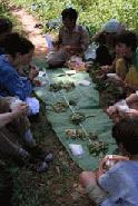 Lunch time on the trail. Eggplant with chilies and sticky rice, fresh bamboo and green beans and stir fried morning glory served on a makeshift banana leaf table