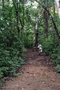 Peter take dead aim through the rainforest on hole 2.