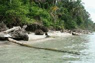 Our own private beach at Parque Nacional Cahuita