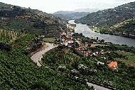 The world famous wine growing region along the Douro River.