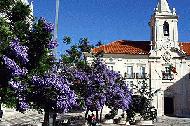 The main square in Aveiro