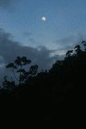 Following 3 hours of non-stop rain, the moon makes a welcomed appearance.