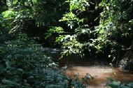 Crossing the many small streams in the Nam Ha.  Checking for leeches became a prerequiste in this area