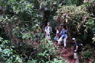 Peter, Paul, To (our lead guide), Veronica and Alex wait across a small ravine