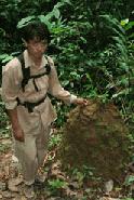 Assistant guide Tha, points out a termite hill and places a leaf for good travelling on the mound