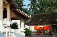 Luang Prabang is famous for the number of Buddhist Wats.