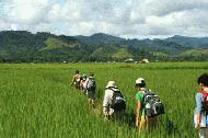 Our trek starts out in the rice fields near Luang Nam Tha.  Our new 