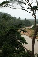 Viewing Sungai Tahan from the canopy walk.  We would take a boat ride up this river the next day to the waterfalls.