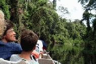 Therese enjoys the peaceful boat ride on the Sungai Tahan with the forest canopy looming over the river.