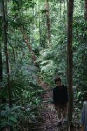 The trails in Taman Negara are very challenging and difficult. The jungle is incredibly beautiful, but one lapse in concentration and we would be following an Orang-asli (indigenous, nomad people within the park) or animal trail instead.