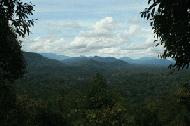 The view from Bukit Teresek looking north into Taman Negara, the home of Tigers, Rhinos, Elephants, and Leopards