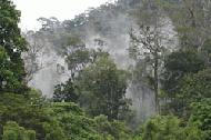 Moist, evening clouds descend upon the forest.