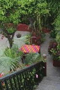 The lush courtyard of our hostel in Antigua.