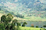 The terrace, green landscape surrounding Lake Bunyoni is magical.