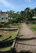 Main Street in Tortuguero. Tortuguero is reached by a 3 hour boat ride through a magnificant rainforest habitat.