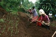 This group of volunteer ladies was extraordinary in the work they performed in terracing the one acre plot.