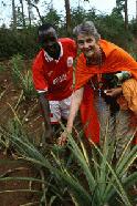 Marcia learns about pineapple cultivation