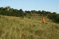 Carrol walks the 2 kms to work to help clear the drinking water source spring for the Enoosaen water project