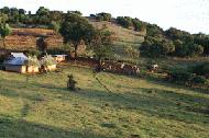 Ole-Ronkei's farm in Enoosaen. Kenya