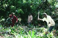 Joshua, Sonny and John begin the hard work of uncovering the spring source.