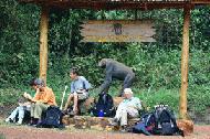 Waiting for the bus after our two days in Kibale National Park.