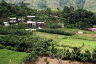 Agriculture and rice production sustain most of the villages on the island.