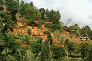 The back roads of Lesotheo