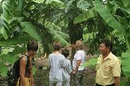 We visit Heng's family dairy and eductional farm near Lopburi.