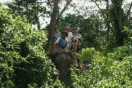 Peter, Paul and Carrol on an elephant ride outside of Lampang